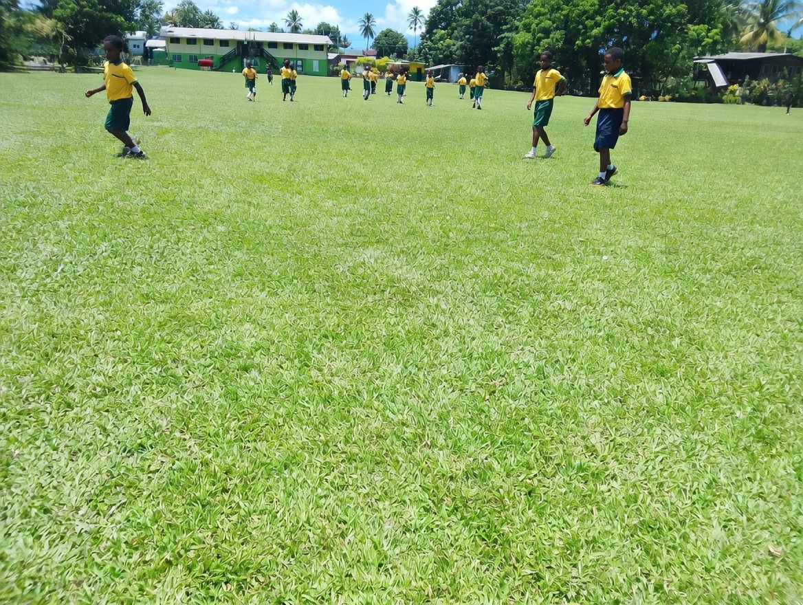 Playing Field